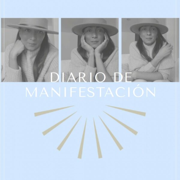 Ebook - Diario de manifestación